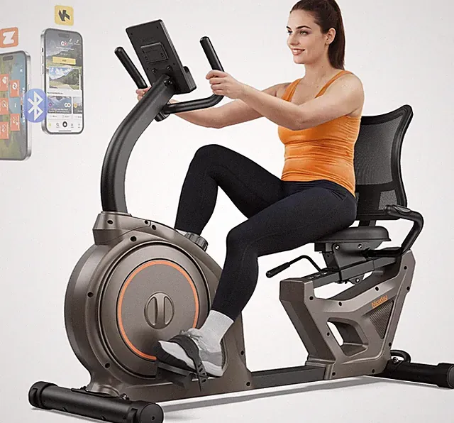 Exercise Bike, Recumbent Bike for Home, Recumbent Stationary Bike 400LBS Weight