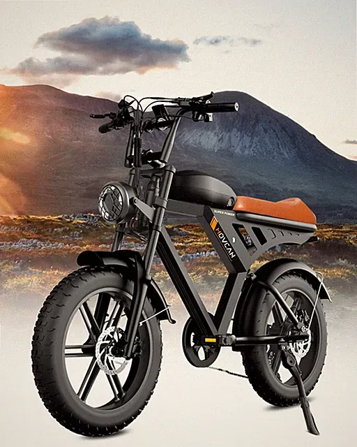 Movcan 20" Fat Tire Electric Bike 1000W 28mph 48V 15.6Ah Mountain Ebike Adults