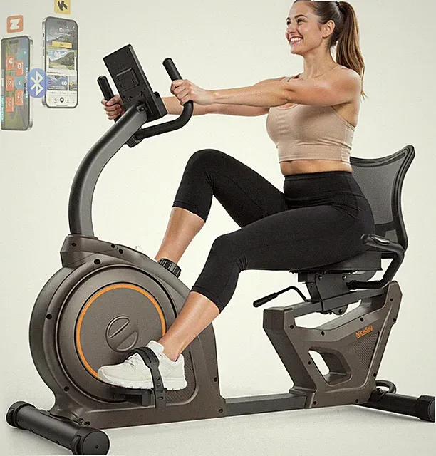Niceday Recumbent Exercise Bike, Recumbent Bike for Home, Recumbent Stationary B
