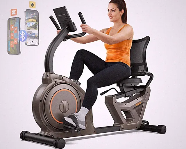Niceday Recumbent Exercise Bike, Recumbent Stationary Bike ,Heart Rate Handle