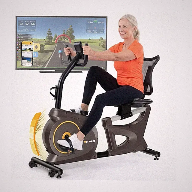 Wenoker Recumbent Exercise Bike for Seniors,15-Level Magnetic Resistance,Blue...