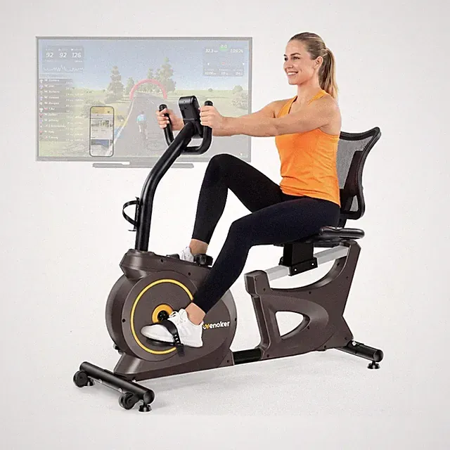 Wenoker Recumbent Exercise Bike for Seniors with 15-Level Magnetic Resistance...