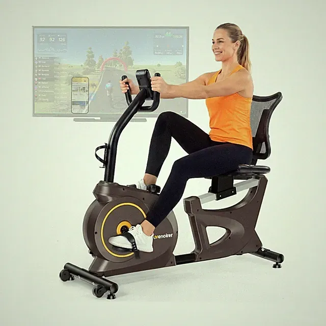 Wenoker Recumbent Exercise Bikes for Home | Light Commercial-Grade Recumbent...
